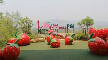 Love strawberry farm - Pai, Thailand