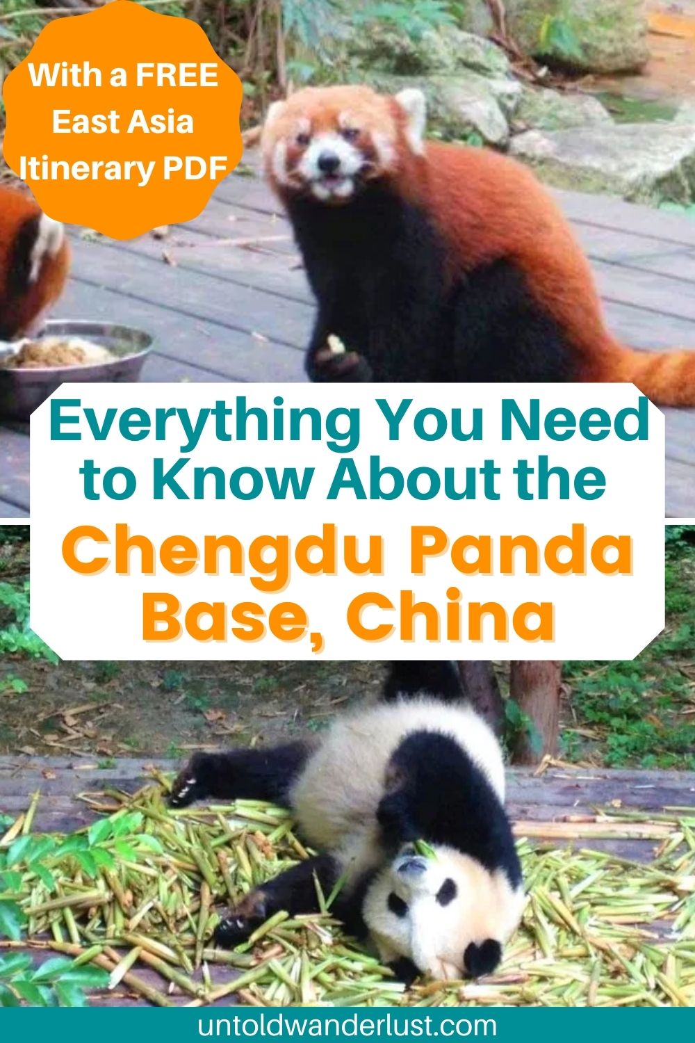 All You Need to Know About the Chengdu Panda Base in China