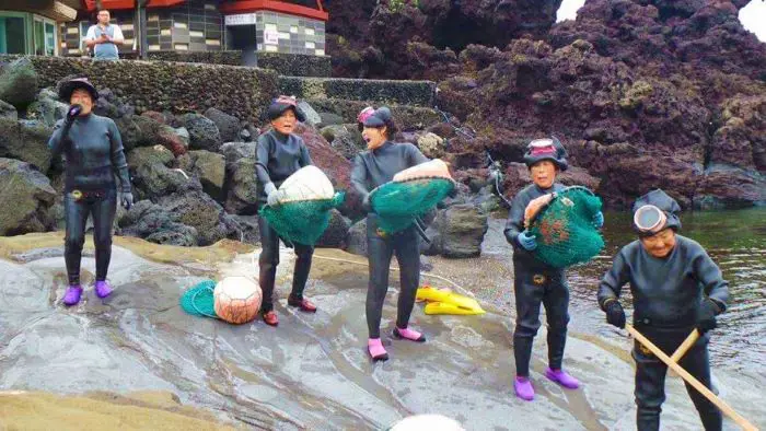 Women divers performing on Jeju Island, South Korea