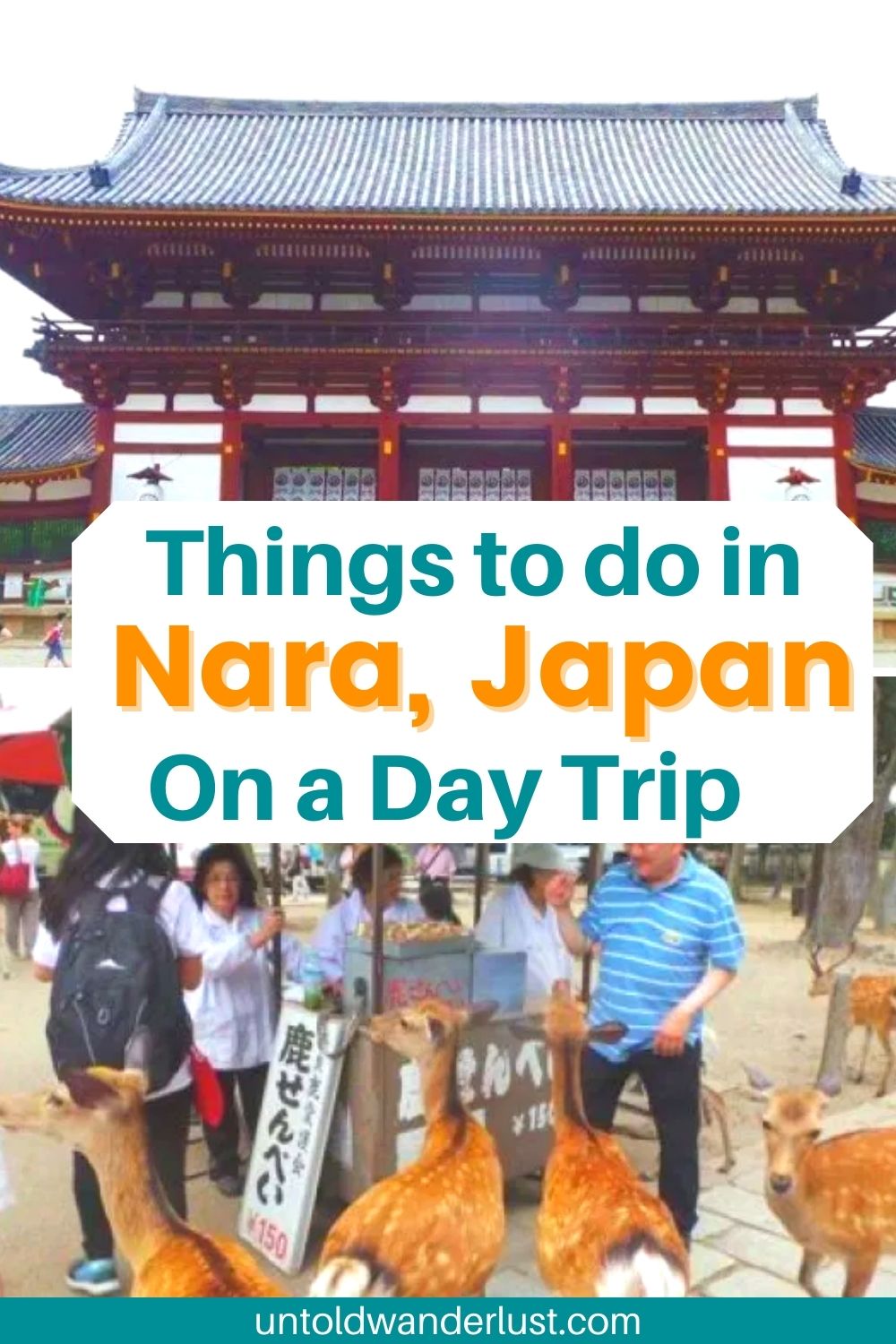 Cool Things to do in Nara, Japan on a Day Trip