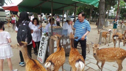 Deer food stall - Nara, Japan