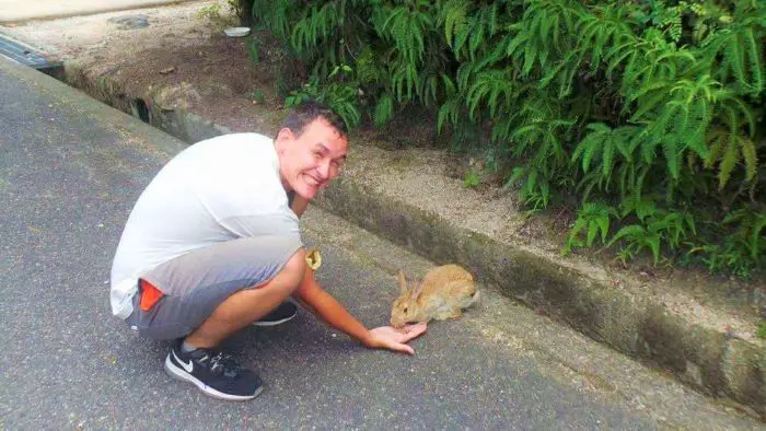 Feeding rabbits on Rabit Island, Japan