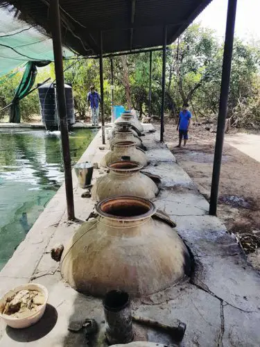 Flower factory - Pushkar, India