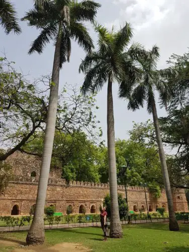 Lodhi gardens - Delhi, India