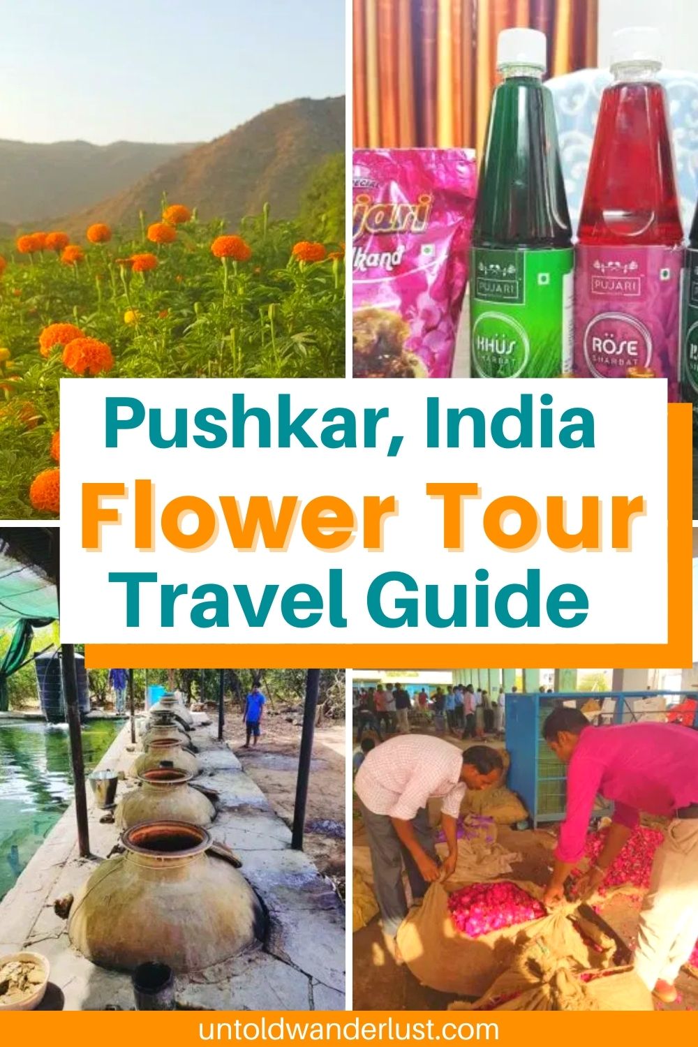 Pushkar, India Flower Tour | All You Need to Know