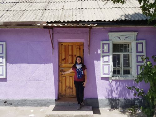 Turkestan yurt camp cottage - Karakol, Kyrgyzstan