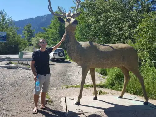 Deer statue on the way to Big Almaty lake - Almaty, Kazakhstan