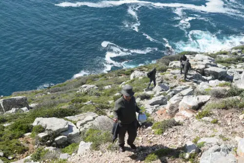 Rangers chasing after a baboon