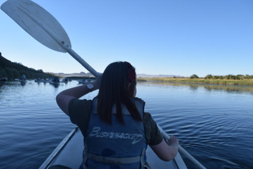 Kayaking on the Orange River in South Africa