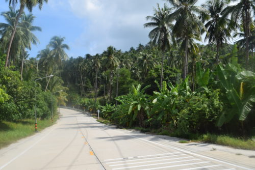 Koh Phangan roads and nature - Thailand