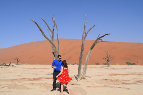 Dead trees at Sossusvlei