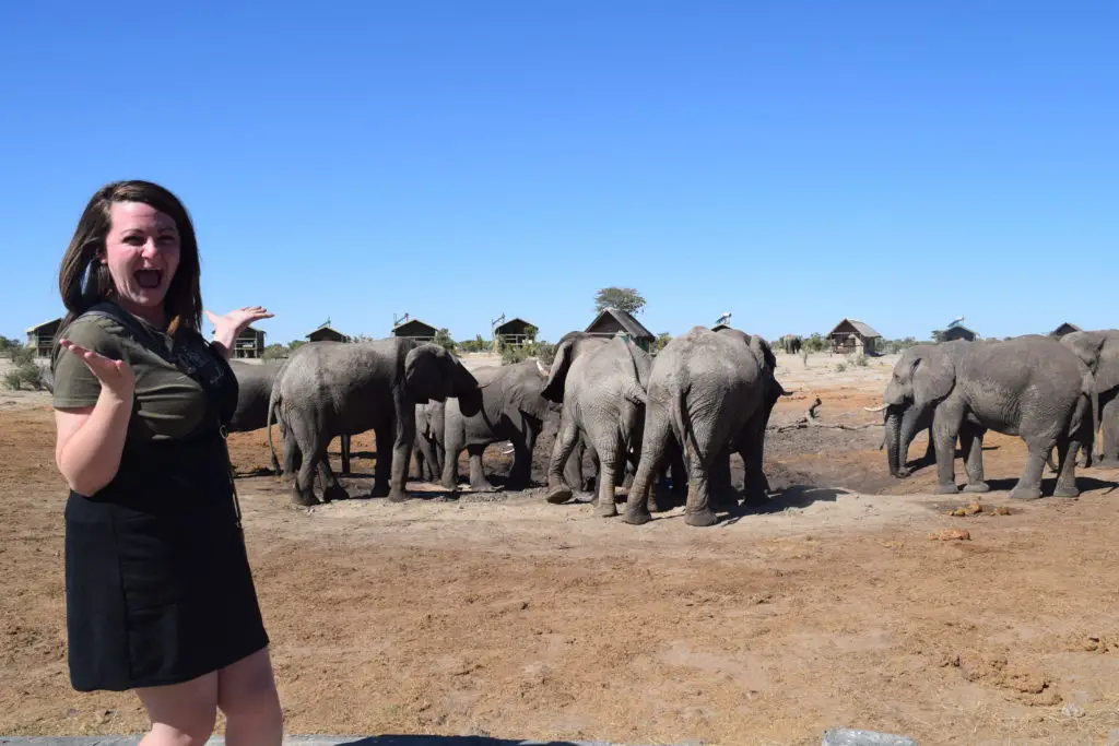 Watching Elephants all day long at Elephant Sands campsite in Botswana