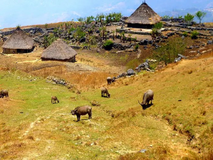 Timor-Leste - Punt Cana Travel Blog