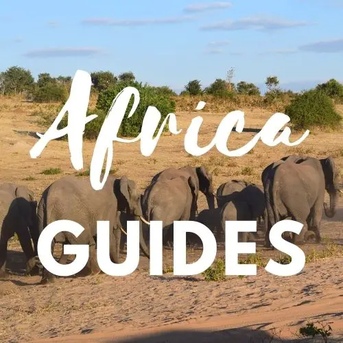Africa Guides