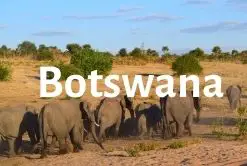 Botswana Guides