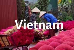 Vietnam Guides