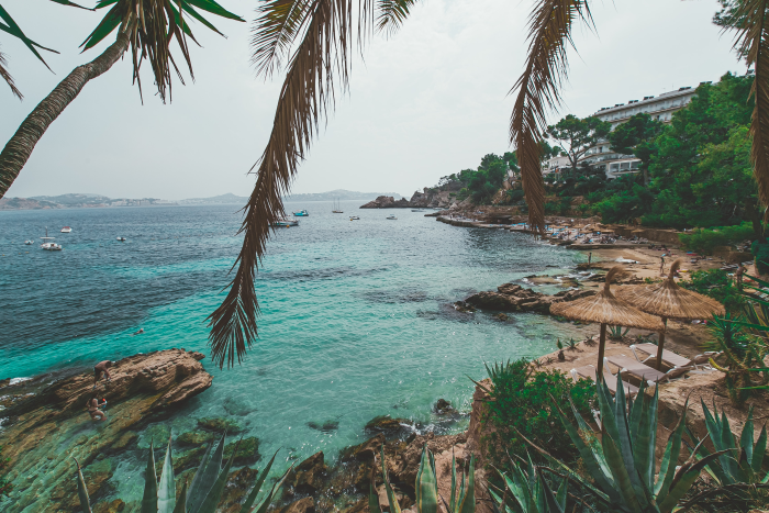 Palm trees and sea in Majorca, Spain