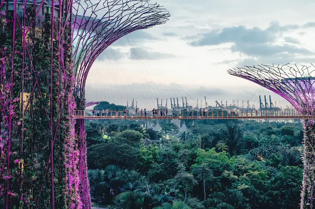 Singapore Garden's by the Bay during the daytime