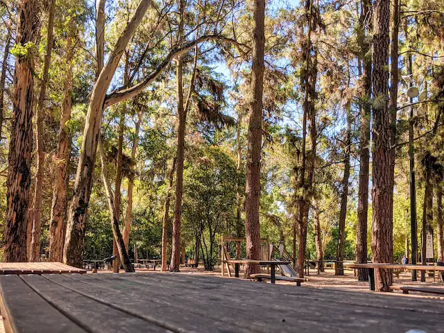 Parque Florestal de Monsanto in Lisbon