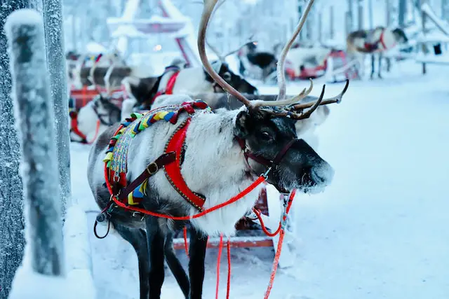 Winter in Lapland